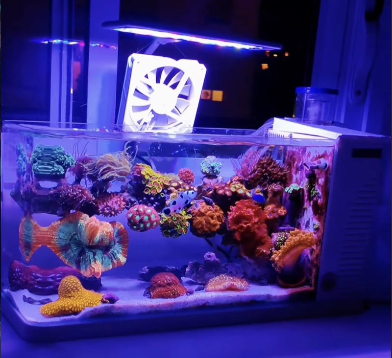 Aquarium by @nanoreef01