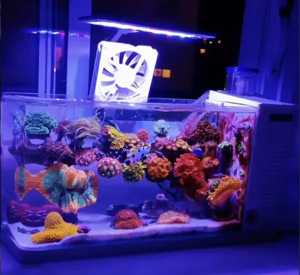 Aquarium by @nanoreef01