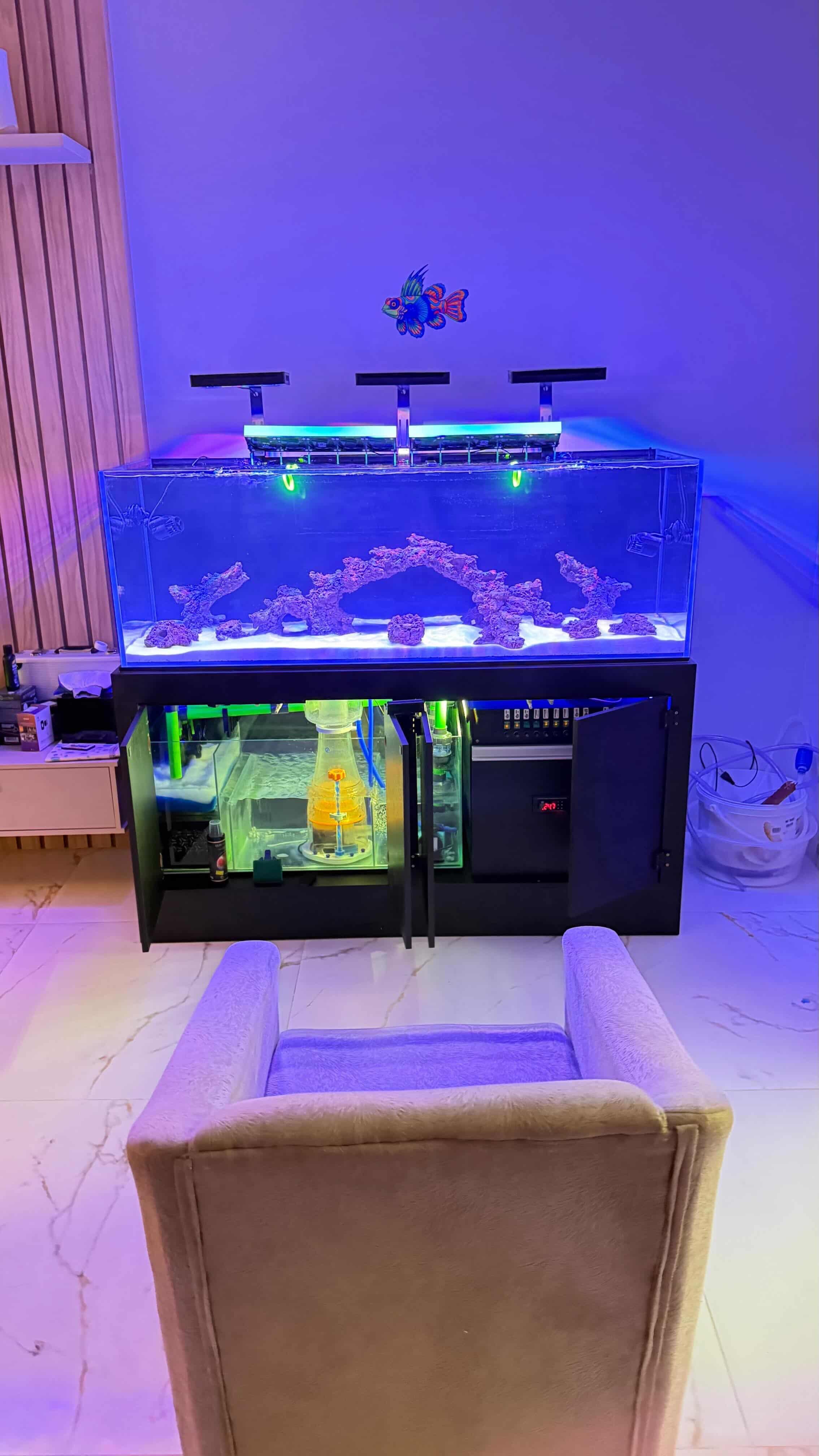 Aquarium by @primereef_s