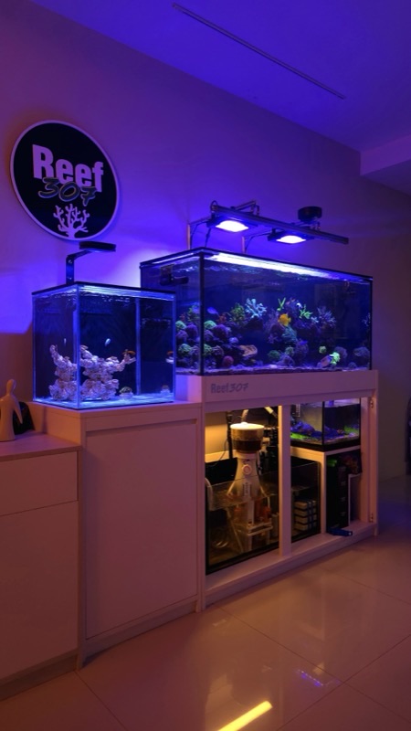 Aquarium by @reef.307