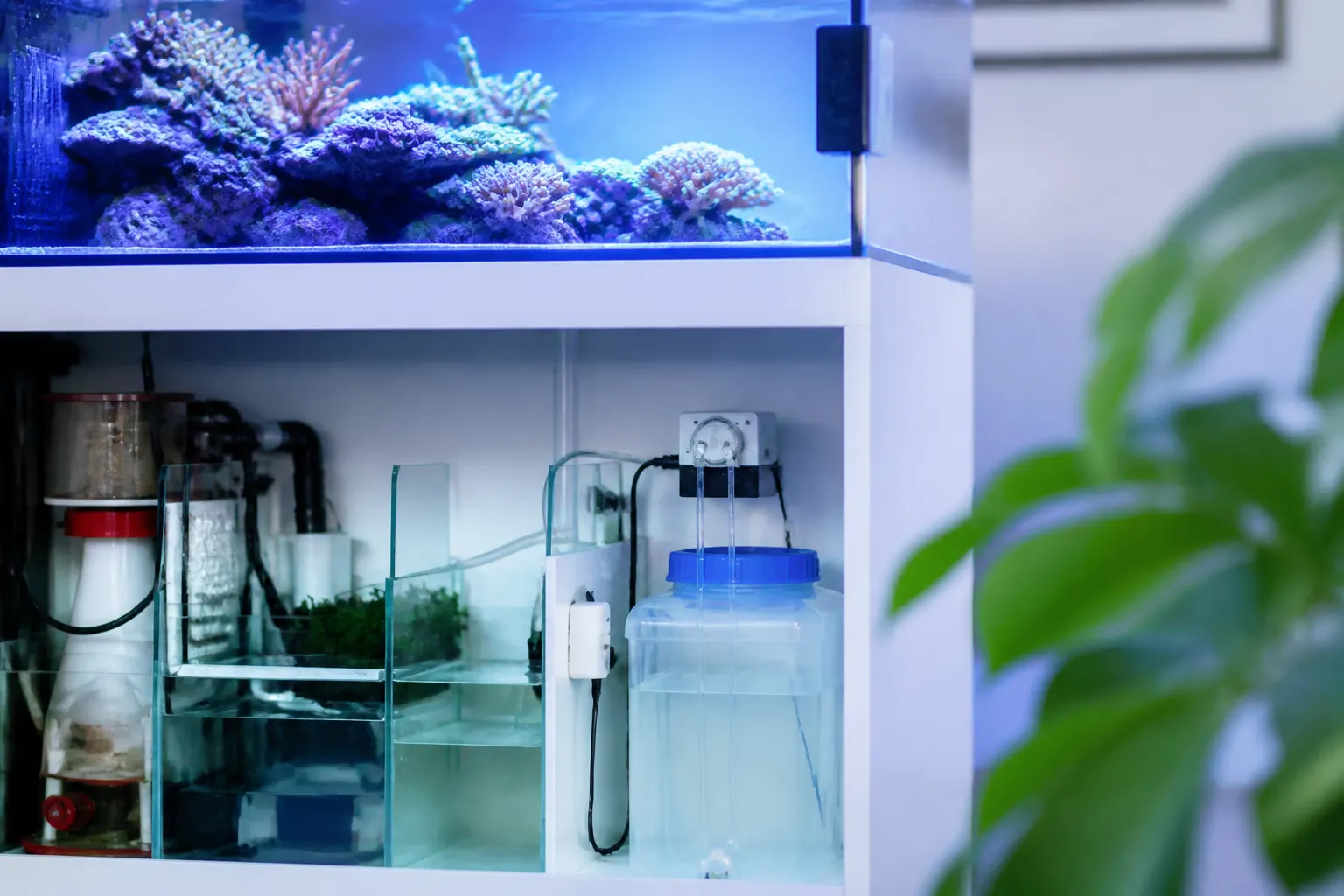 Sistema ATO instalado no sump de um aquário marinho com sensor óptico e reservatório de água RODI com apoio do ReefFlow